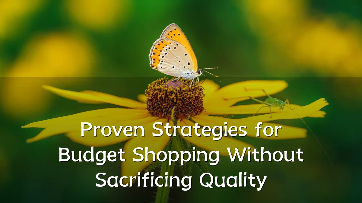 Proven Strategies for Budget Shopping Without Sacrificing Quality