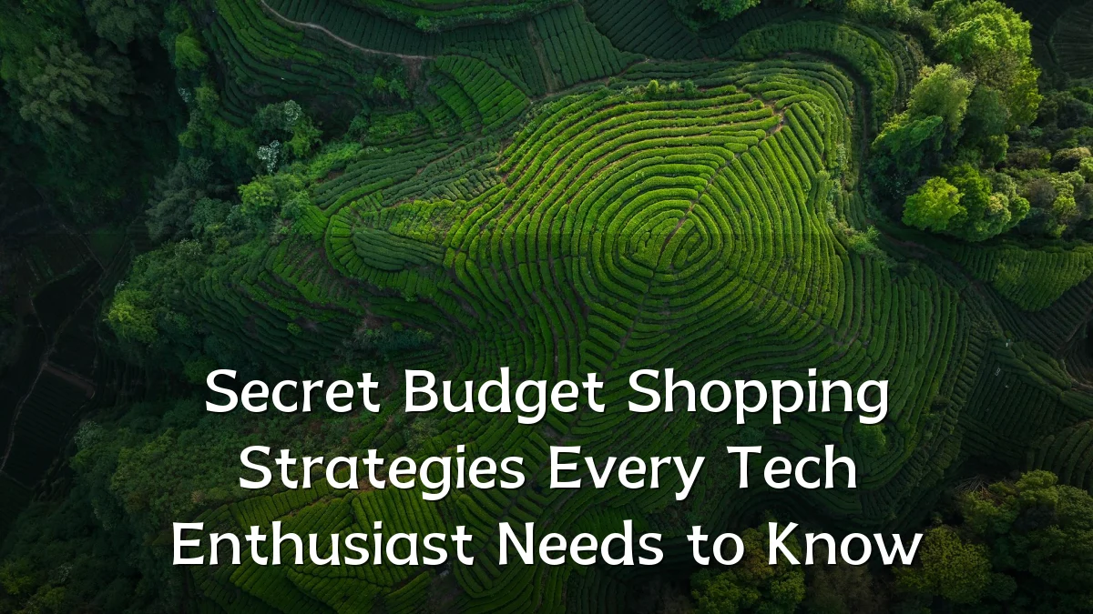 Secret Budget Shopping Strategies Every Tech Enthusiast Needs to Know