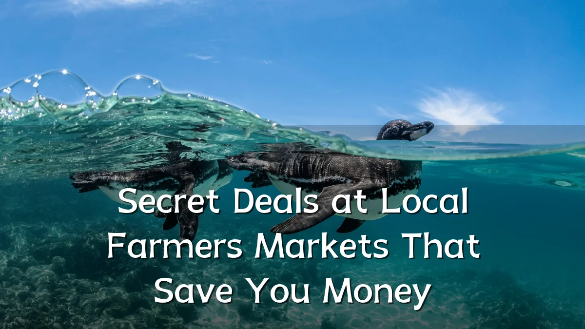 Secret Deals at Local Farmers Markets That Save You Money