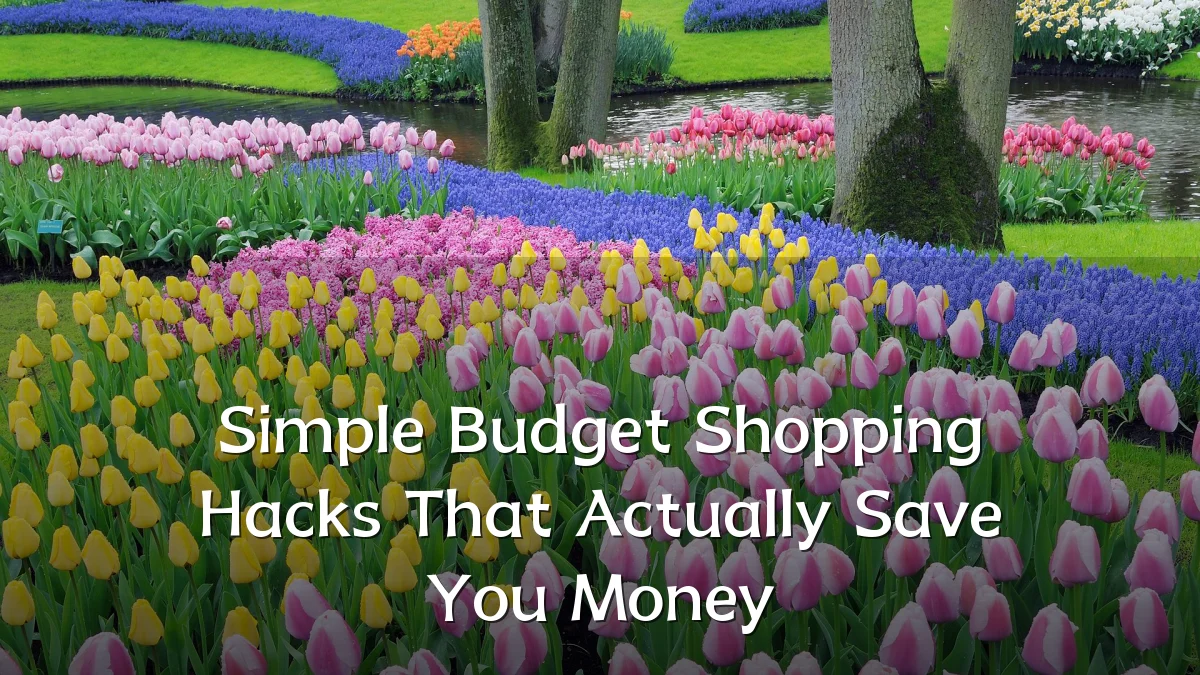 Simple Budget Shopping Hacks That Actually Save You Money