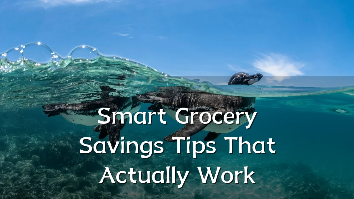 Smart Grocery Savings Tips That Actually Work