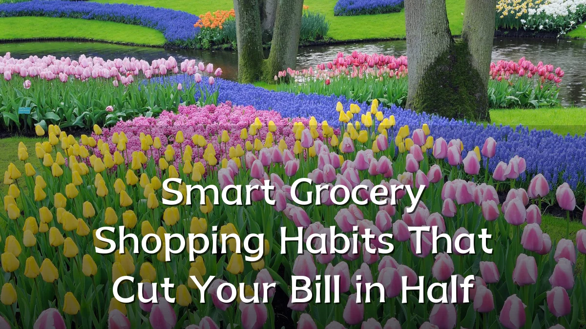 Smart Grocery Shopping Habits That Cut Your Bill in Half