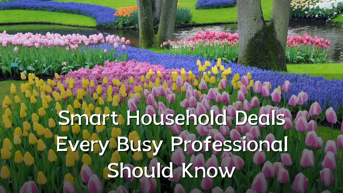 Smart Household Deals Every Busy Professional Should Know