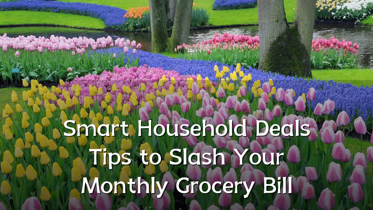 Smart Household Deals Tips to Slash Your Monthly Grocery Bill