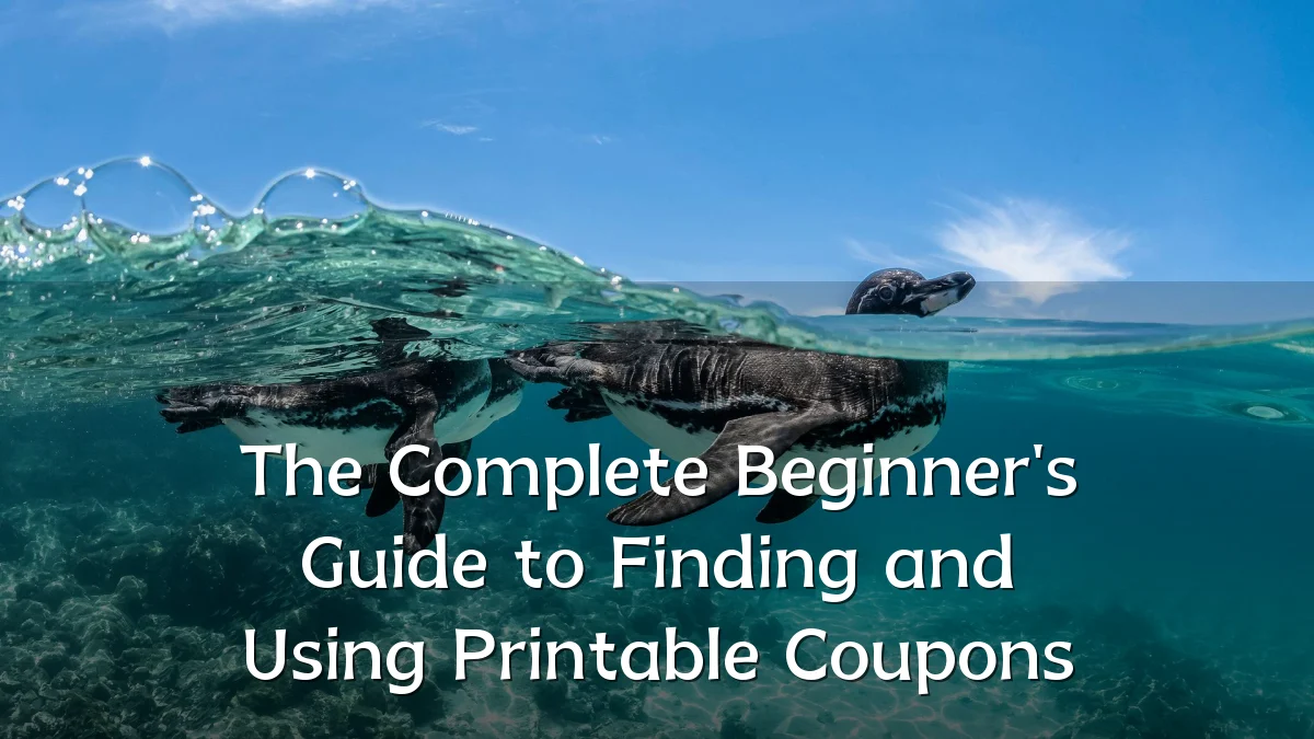 The Complete Beginner's Guide to Finding and Using Printable Coupons