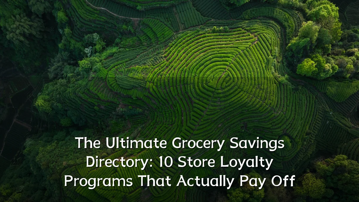 The Ultimate Grocery Savings Directory: 10 Store Loyalty Programs That Actually Pay Off
