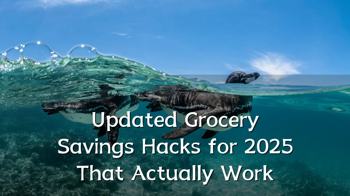 Updated Grocery Savings Hacks for 2025 That Actually Work