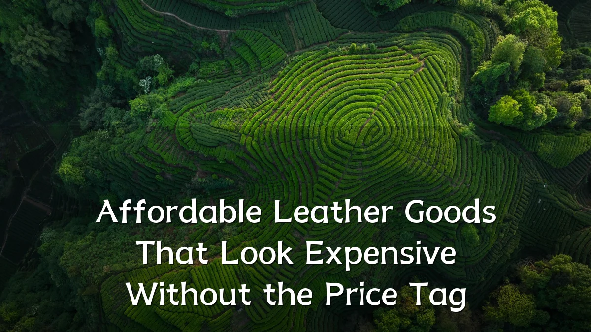Affordable Leather Goods That Look Expensive Without the Price Tag