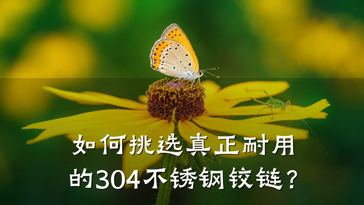 如何挑选真正耐用的304不锈钢铰链?