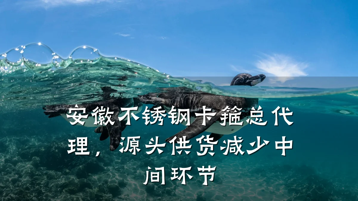 安徽不锈钢卡箍总代理，源头供货减少中间环节