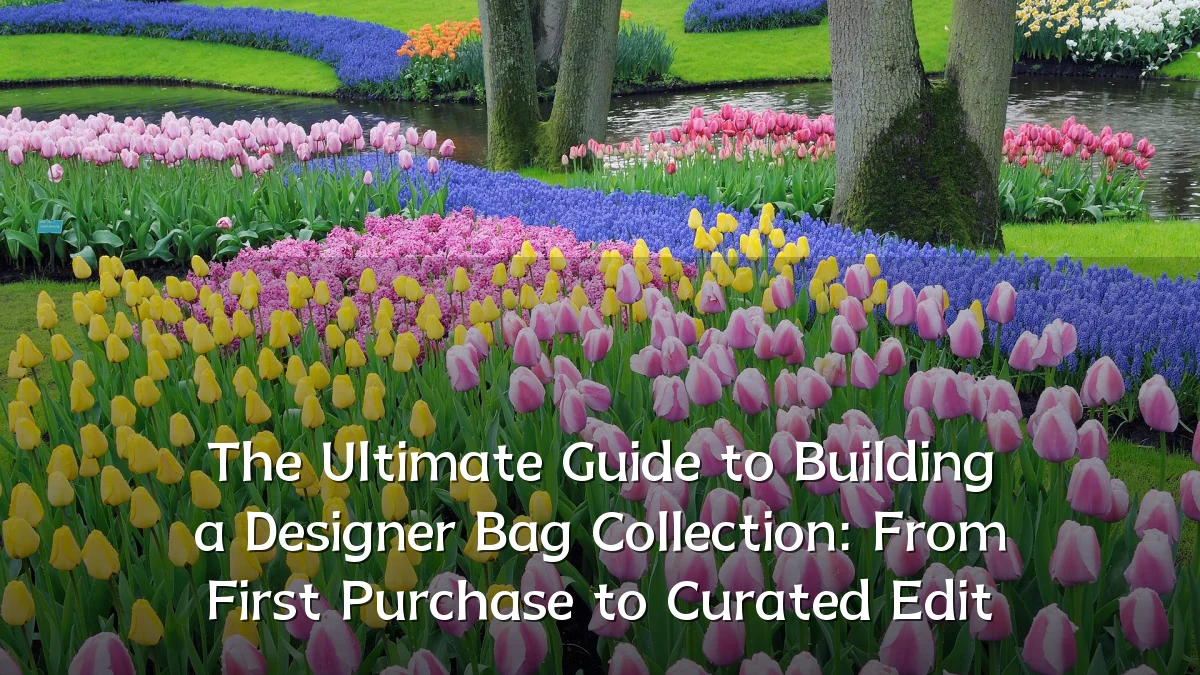 The Ultimate Guide to Building a Designer Bag Collection: From First Purchase to Curated Edit