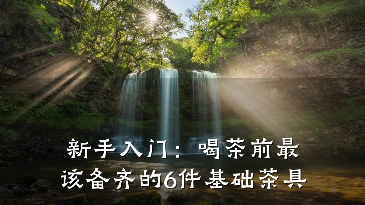 新手入门:喝茶前最该备齐的6件基础茶具